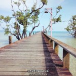 สะพานสู่ฝัน เดอะ ซินนามอน อาร์ต รีสอร์ท แอนด์ สปา เกาะหมาก