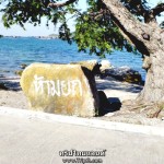 ห้ามยก