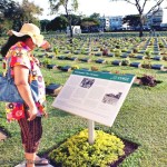 สุสานพันธมิตรดอนรัก