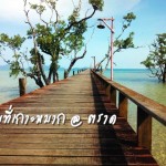 ที่พักเกาะหมาก