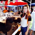 อัลปาก้า