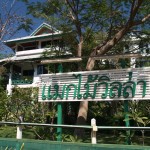 แมกไม้ วิลล่า (Makmai Villa)