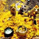 รอยเสือใหญ่
