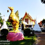 หงส์ หน้าวัดไผ่ล้อม (2)