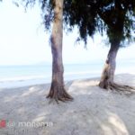 หาดดงตาล สัตหีบ (4)