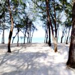 หาดเทียนทะเล สัตหีบ (1)