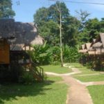 จังเกิ้ล การ์เดน (Jungle Garden)