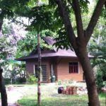 ดรีมวีฟเวอร์เฮาส์ (Dreamweaver House)