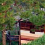 บ้านภูหนาว รีสอร์ท (Ban Phu Nao Resort)2