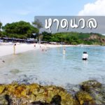 หาลนวล (1)