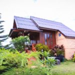 เขาค้อฟอร่า (Khao Kho Flora)2