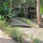 เบสิค บังกะโล (Basic Bungalows)