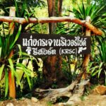 แก่งกระจาน ริเวอร์ไซด์ รีสอร์ท (Kaengkrachan Riverside Resort)