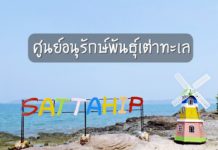ศูนย์อนุรักษ์พันธุ์เต่าทะเล กองทัพเรือ ที่เที่ยวสัตหีบ ศูนย์อนุรักษ์พันธุ์เต่าทะเล