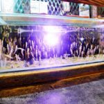 Walking street หาดทรายรี (2)