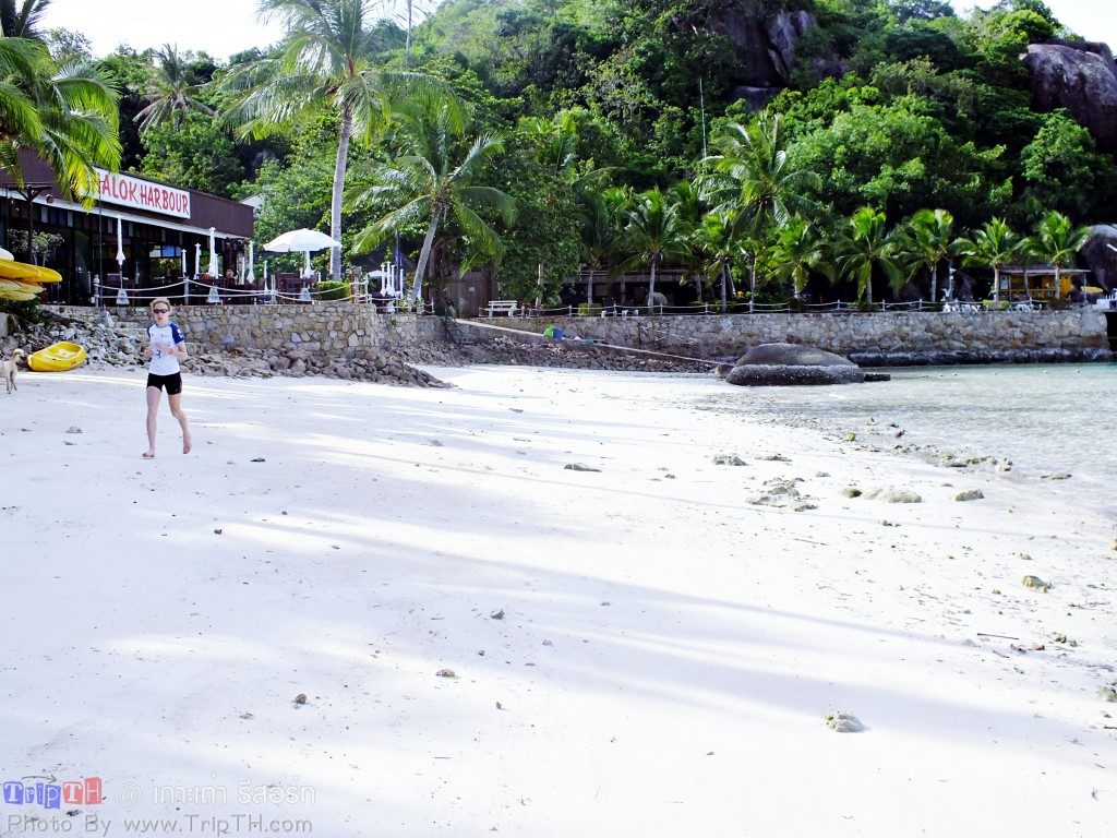 ชายหาดหน้าเกาะเต่า รีสอร์ท (2)
