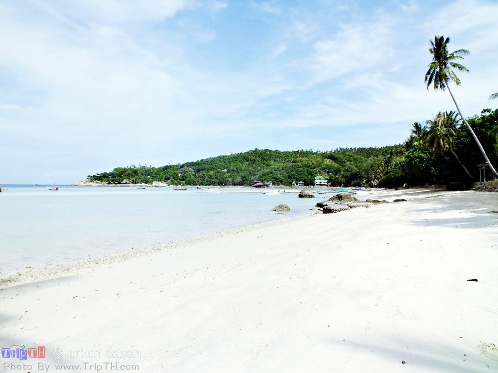 ชายหาดหน้าเกาะเต่า รีสอร์ท (5)