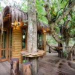 ดรีมคอท ทรี เฮาส์ (Dreamcaught Tree House)