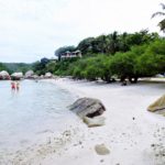 หาดฟรีดอม (1)