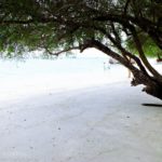 หาดฟรีดอม (2)