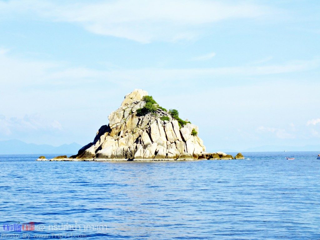เกาะฉลาม