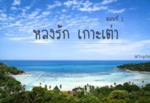 เกาะเต่า สวรรค์ของการดำน้ำ รีวิว เที่ยวเกาะเต่า แบบฟินๆ 3 วัน 2 คืน ตอนที่ 1 เกาะเต่า