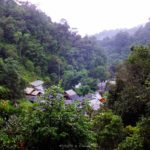 ร้านชมนกชมไม้ บ้านแม่กำปอง (3)