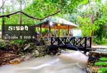 เที่ยวระนอง 2 วัน 1 คืน รีวิวระนอง เมือง ฝน 8 แดด 4 เที่ยวน้ำพุร้อนระนอง %e0%b8%a3%e0%b8%b5%e0%b8%a7%e0%b8%b4%e0%b8%a7%e0%b8%a3%e0%b8%b0%e0%b8%99%e0%b8%ad%e0%b8%87