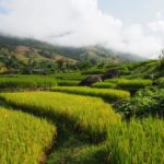 โกวิท แม่แจ่ม ฟาร์มเฮาส์ (Kowit Maechaem Farmhouse)