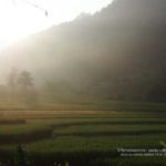 โกวิท แม่แจ่ม ฟาร์มเฮาส์ (Kowit Maechaem Farmhouse)