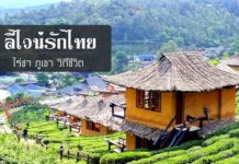 เที่ยวบ้านรักไทย ลีไวน์รักไทย ชิมชา บ้านรักไทย แม่ฮ่องสอน
