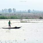 บึงบัว สามร้อยยอด ปราณบุรี (1)