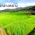 แม่กลางหลวง