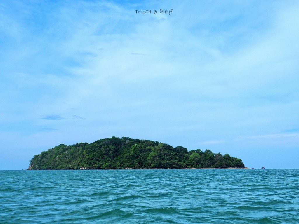 เที่ยวเกาะกวาง (2)