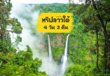 เที่ยวลาวใต้ ดินแดนน้ำตก 4 วัน 3 คืน ปากเซ ปากซอง จําปาสัก นากระสัง ดอนคอน ทริปลาวใต้