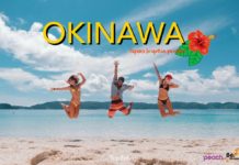OKINAWA รีวิวเที่ยว โอกินาว่า ญี่ปุ่น กับ Peach Air แบบชิคๆ เที่ยวทะเลญี่ปุ่น น้ำใสๆ OKINAWA