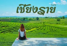 รีวิวเชียงราย 3 วัน 2 คืน เที่ยวรอบเมืองเชียงราย ขึ้นดอยตุง ต่อเชียงแสน จบทริปที่แม่สาย เชียงราย 4