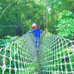 Rope Bridge (3)