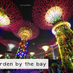 การ์เด้น บาย เดอะ เบย์ (Garden by the bay)