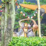 มาดากัสก้า Madagascar (1)
