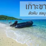 เกาะขาม สัตหีบ