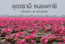รีวิวเหมารถเที่ยวอุดรธานี หนองคาย ชมทะเลบัวแดง ดูธรรมชาติ เข้าวัด ไหว้พระ ทำบุญ วันเดียวก็เที่ยวได้ รีวิวเหมารถเที่ยวอุดรธานี หนองคาย