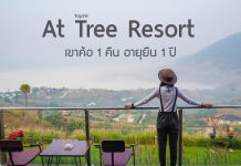 At Tree Resort เขาค้อ ที่พักเขาค้อ บรรยากาศดี ล้อมรอบด้วยภูเขา กลางเขาค้อ At Tree Resort