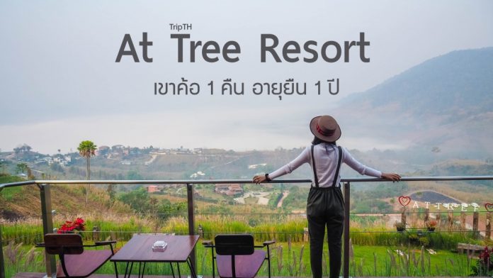 At Tree Resort