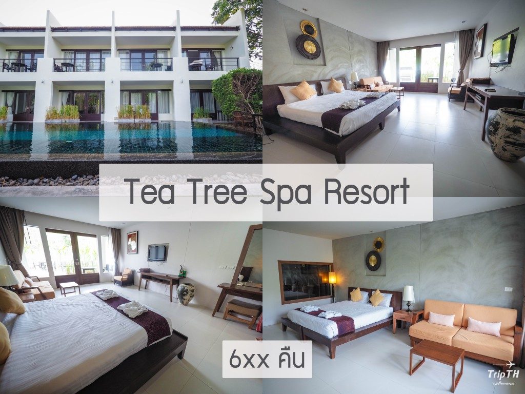 Tea Tree Spa Resort 