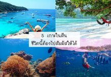 5 เกาะในฝัน ชีวิตนี้ต้องไปสัมผัสให้ได้ เกาะบรูเออร์ เกาะสิมิลัน เกาะหลีเป๊ะ เกาะเต่า เกาะพีพีดอน 5 เกาะในฝัน