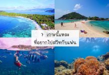 7 เกาะที่อยากไปสวีทกับแฟน เกาะเต่า เกาะนางยวน เกาะล้าน เกาะสุรินทร์ เกาะพีพีดอน เกาะหลีเป๊ะ เกาะบรูเออร์ 7 เกาะที่อยากไปกับแฟน
