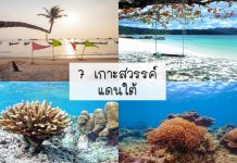 7 เกาะสวรรค์แดนใต้ ความอเมซิ่งของไทยที่ดังไปถึงต่างประเทศ เกาะห้า เกาะรอก เกาะเต่า เกาะพีพี เกาะสุรินทร์ เกาะหลีเป๊ะ เกาะนางยวน 7 เกาะแดนใต้-tile