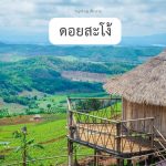 ดอยสะโง้