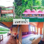 แพชายน้ำ-tile~1
